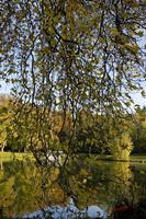 Cjp_2008_11_04_142428 (1).jpg